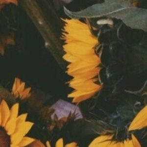 Meet your Posher, Sydney